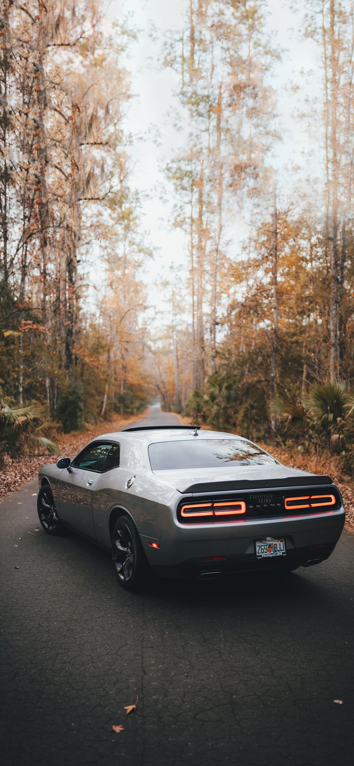 White Dodge Challenger Wallpapers