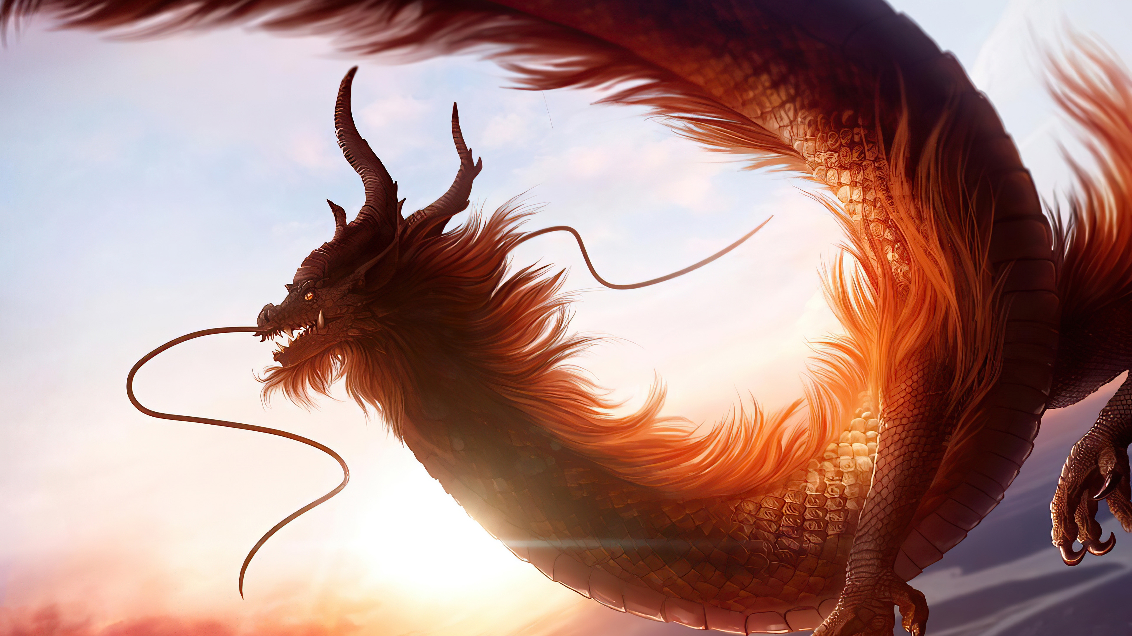 White Dragons Wallpapers