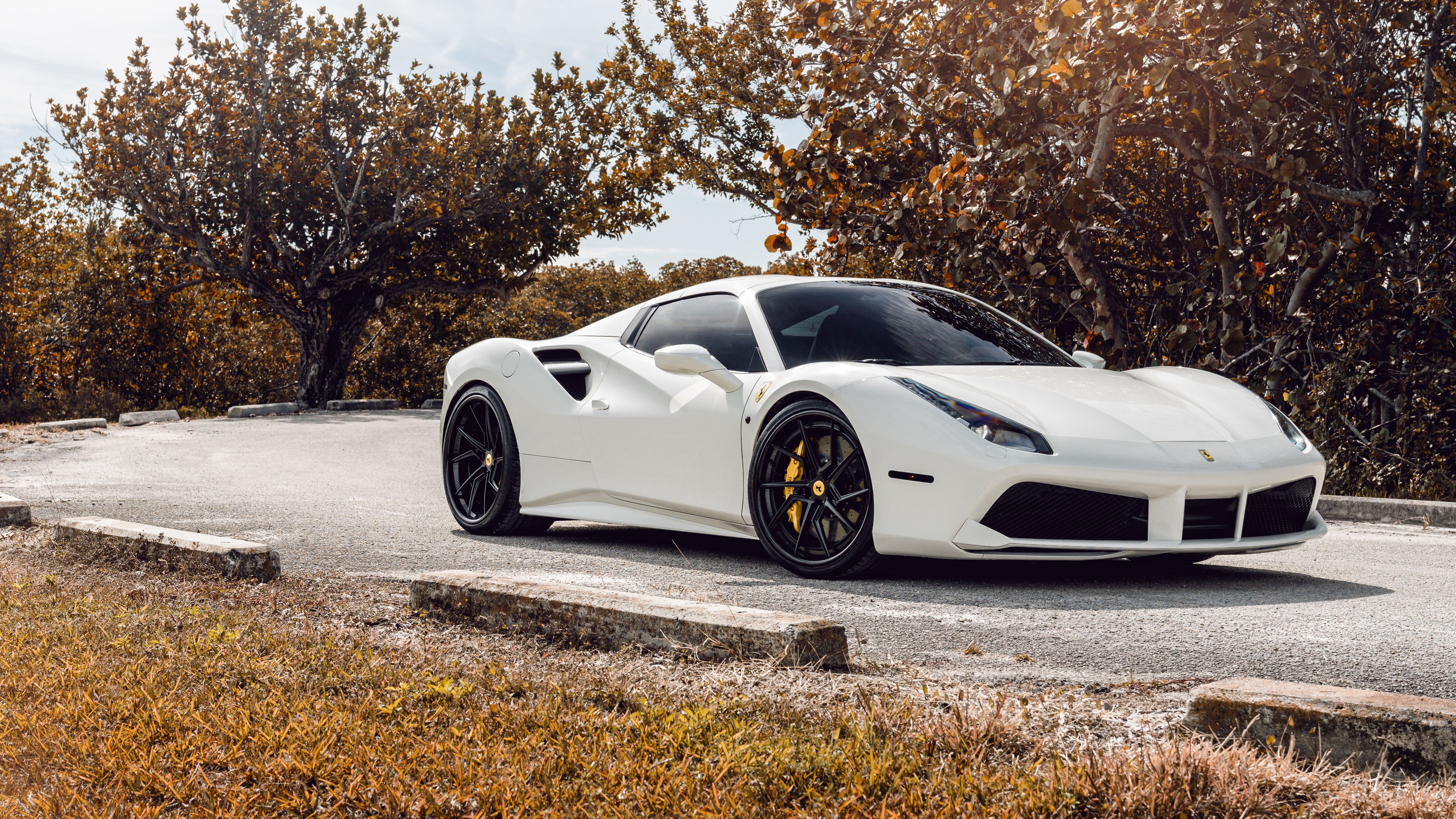 White Ferrari Wallpapers