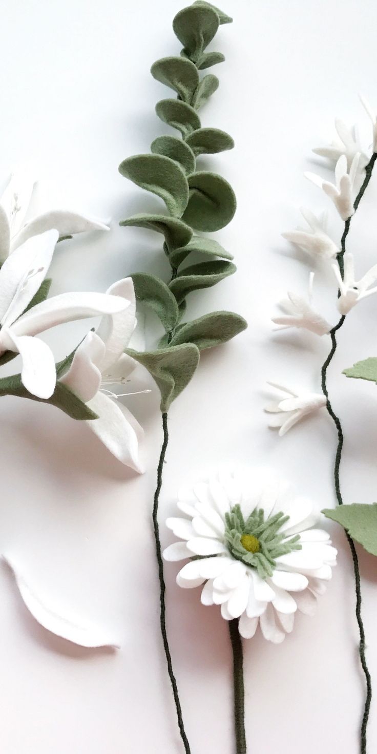 White Flower Wallpapers