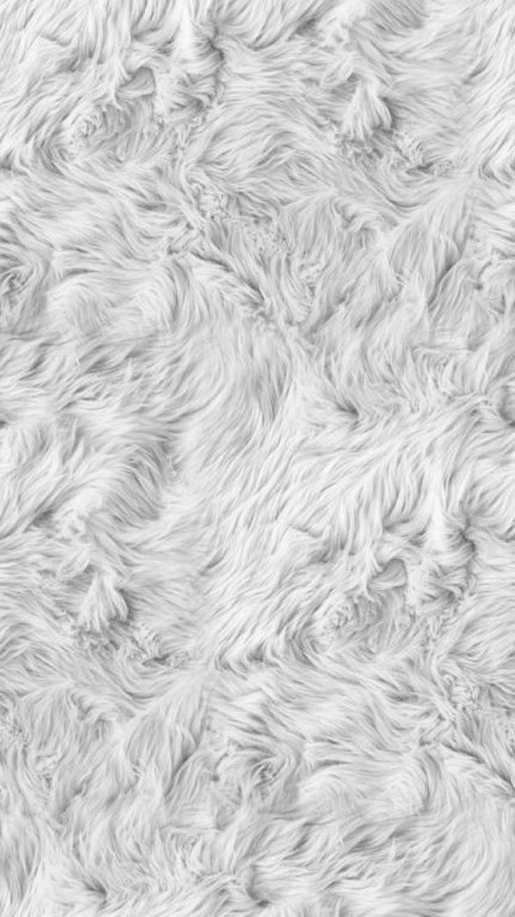 White Furry Wallpapers