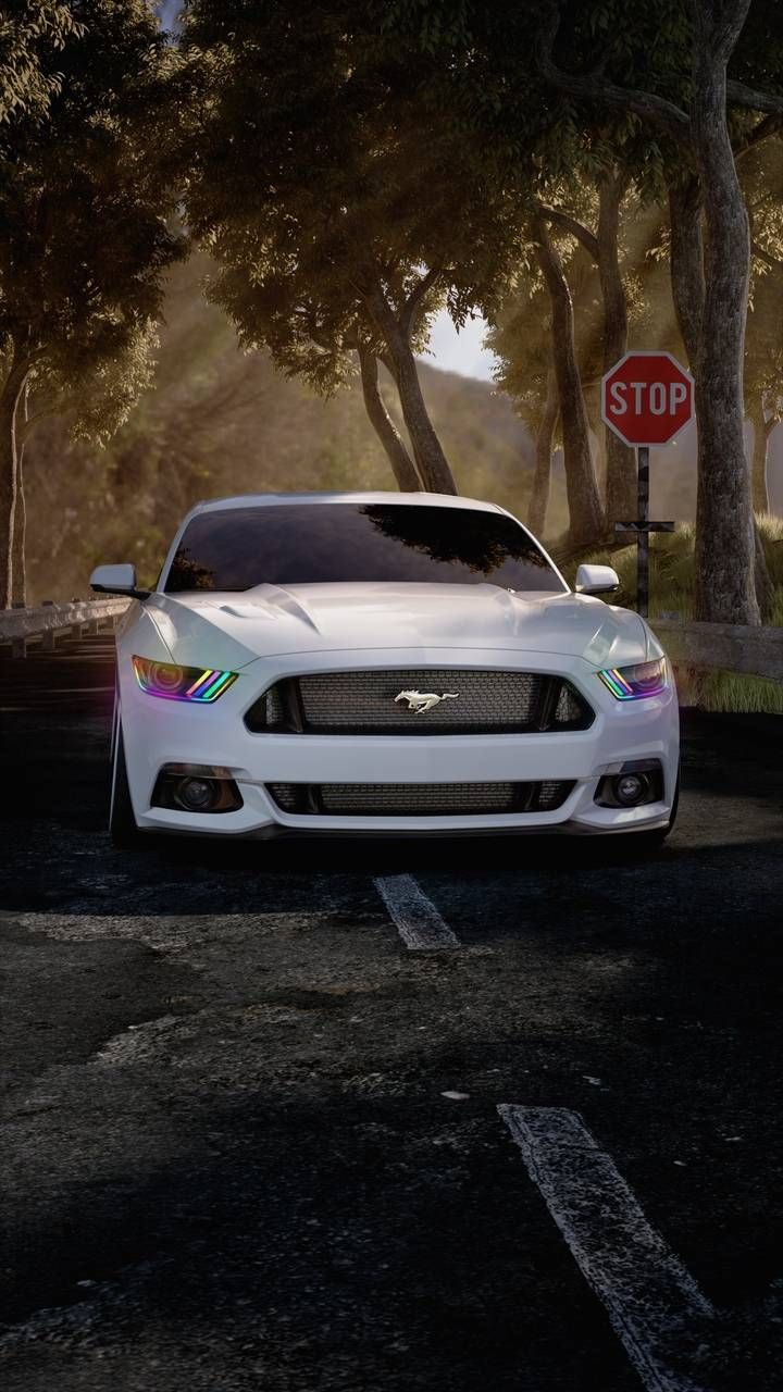White Gt Mustang Wallpapers