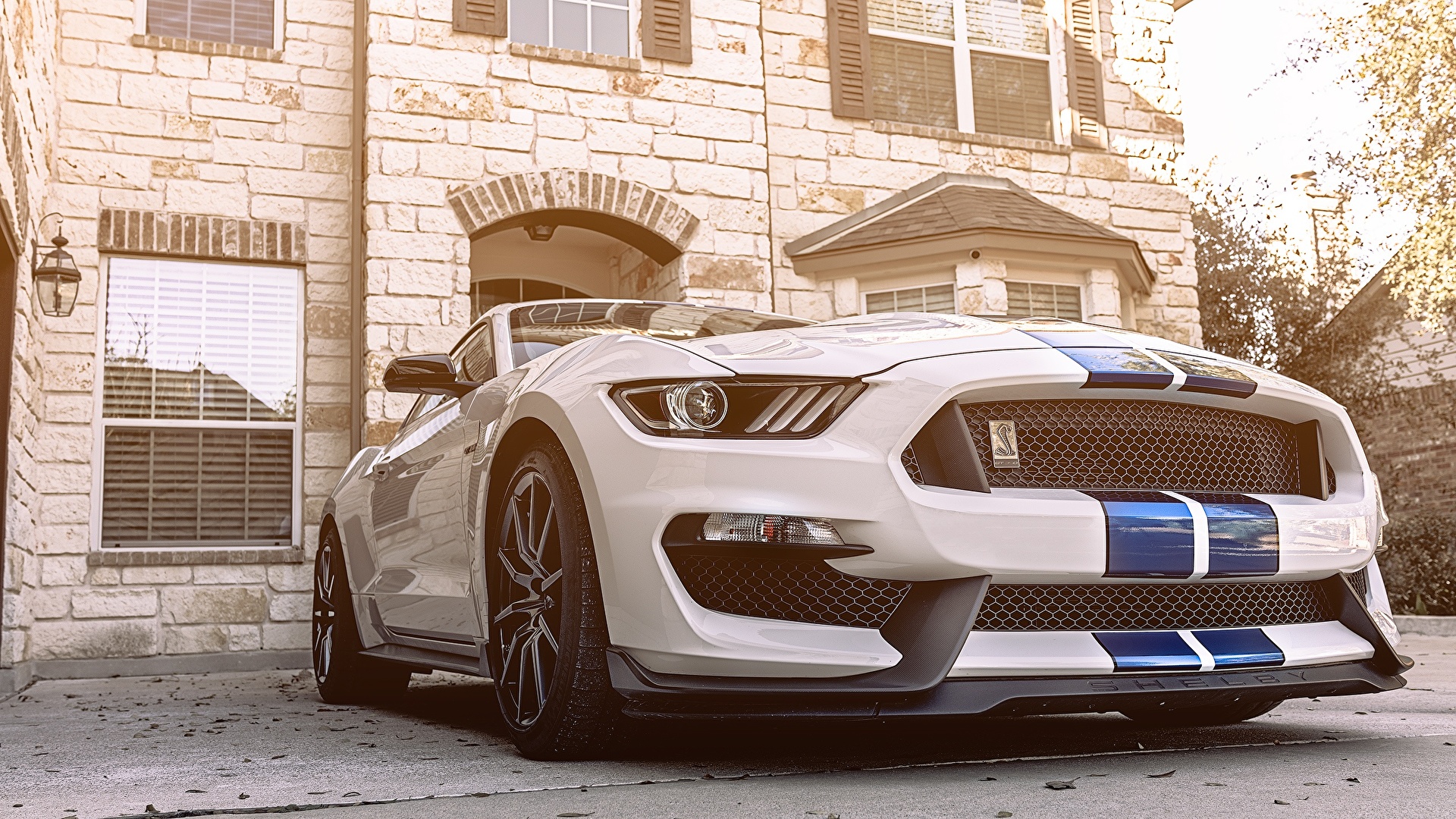 White Gt Mustang Wallpapers