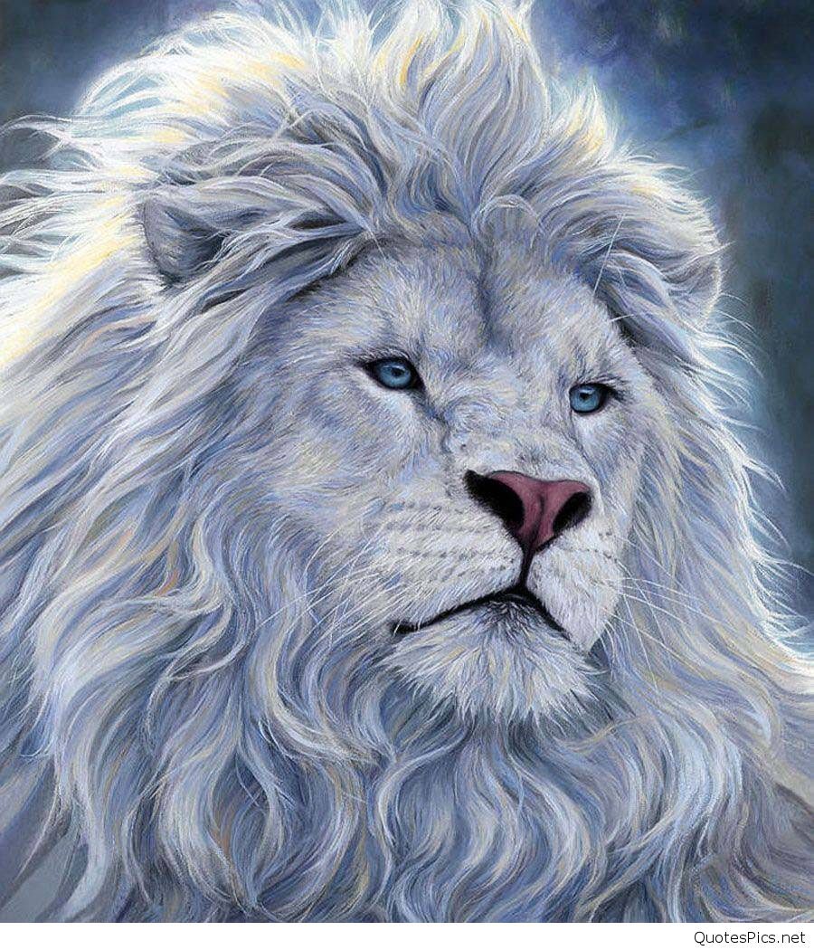 White Lion Wallpapers