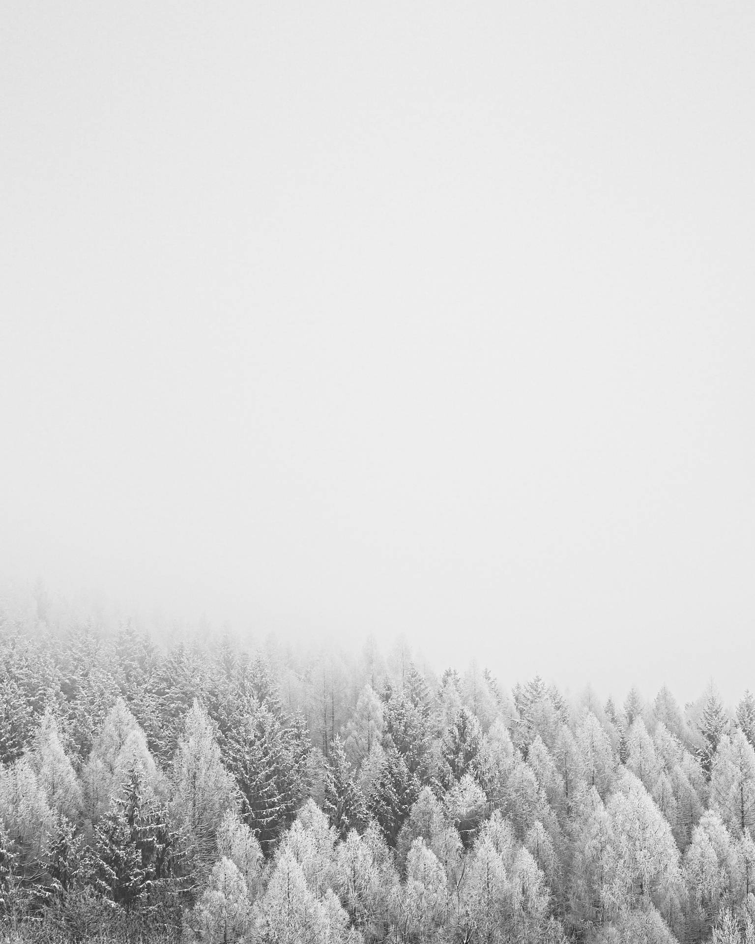 White Minimalist Wallpapers