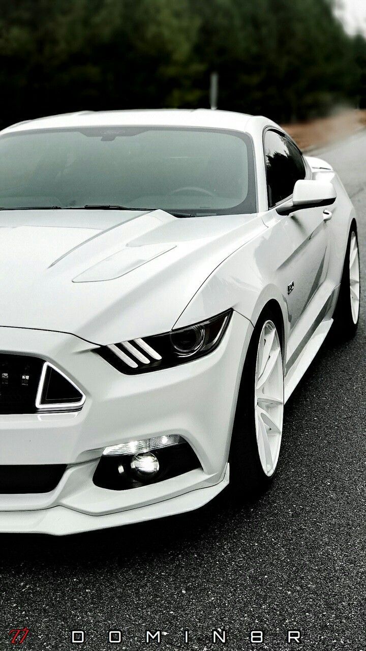 White Mustang Wallpapers