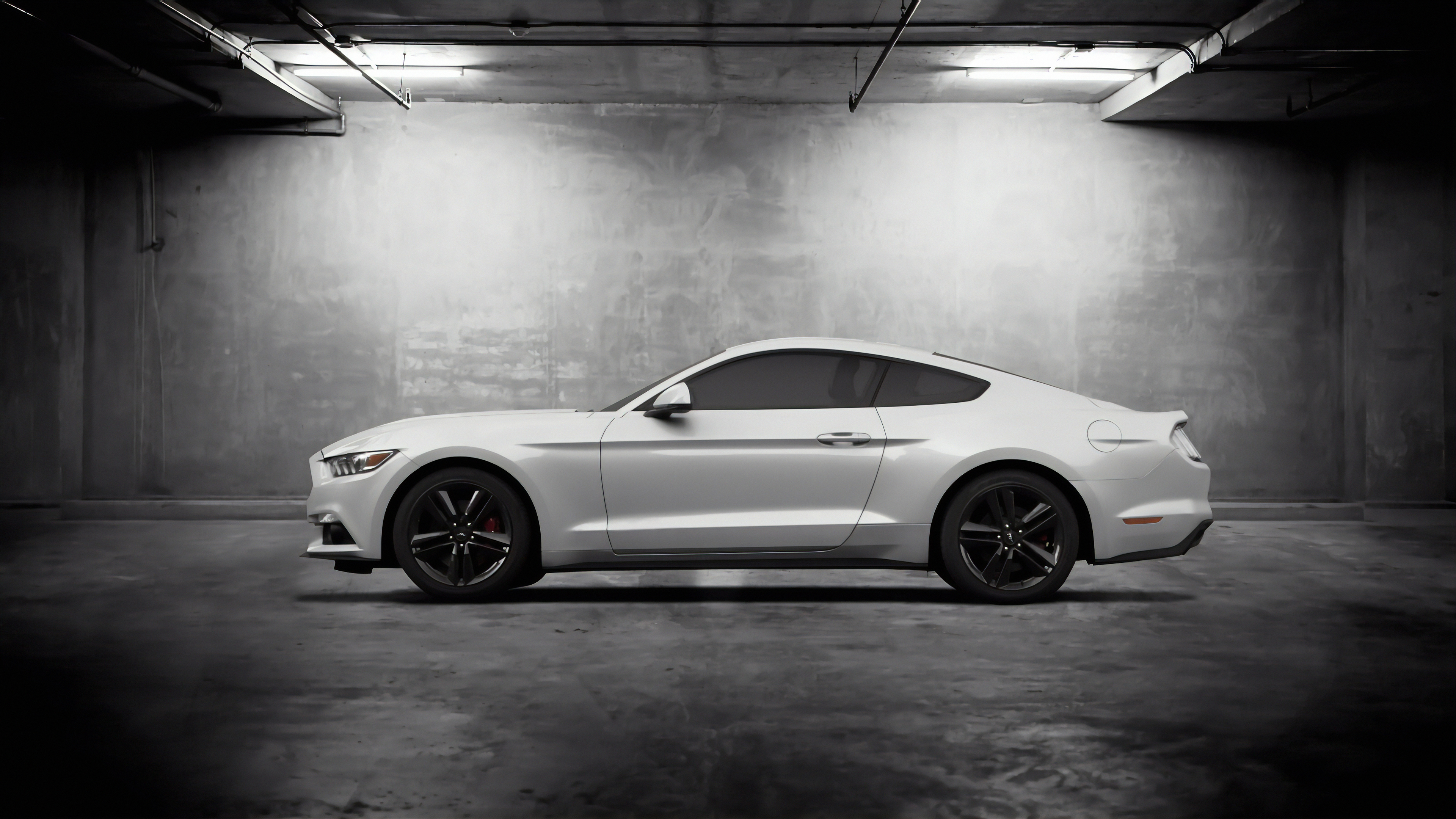 White Mustang Wallpapers