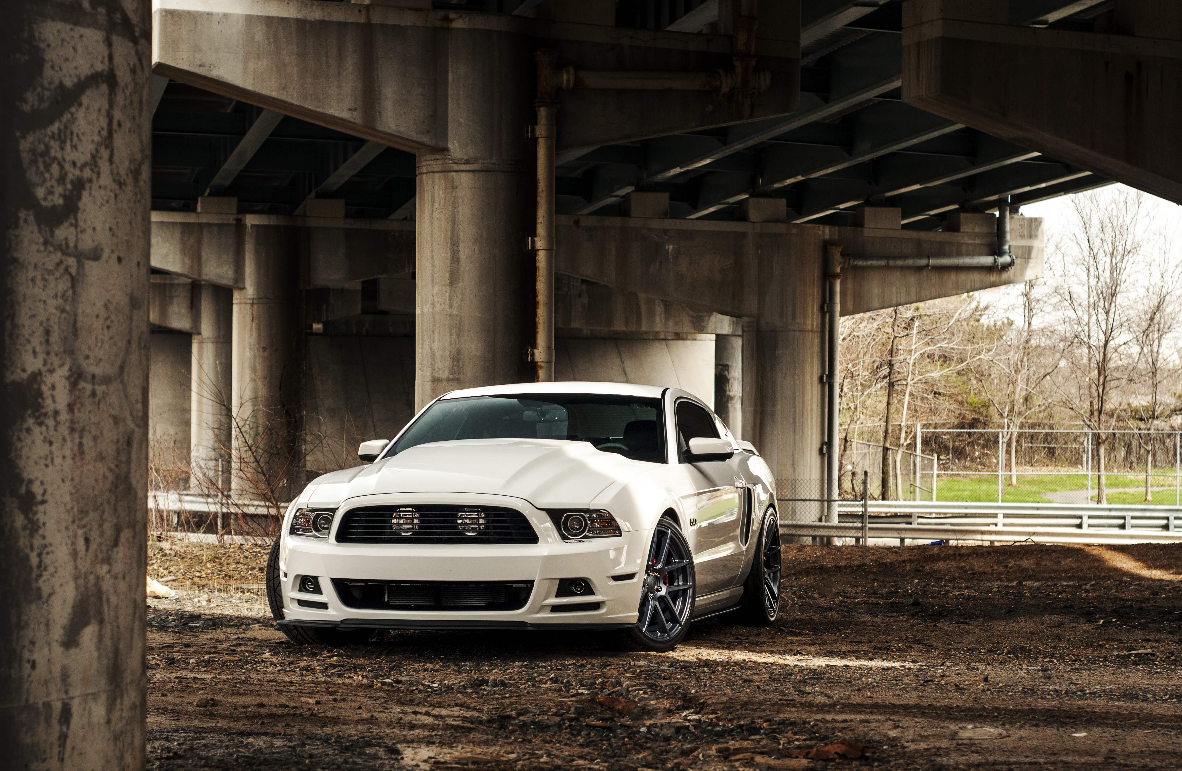 White Mustang Wallpapers