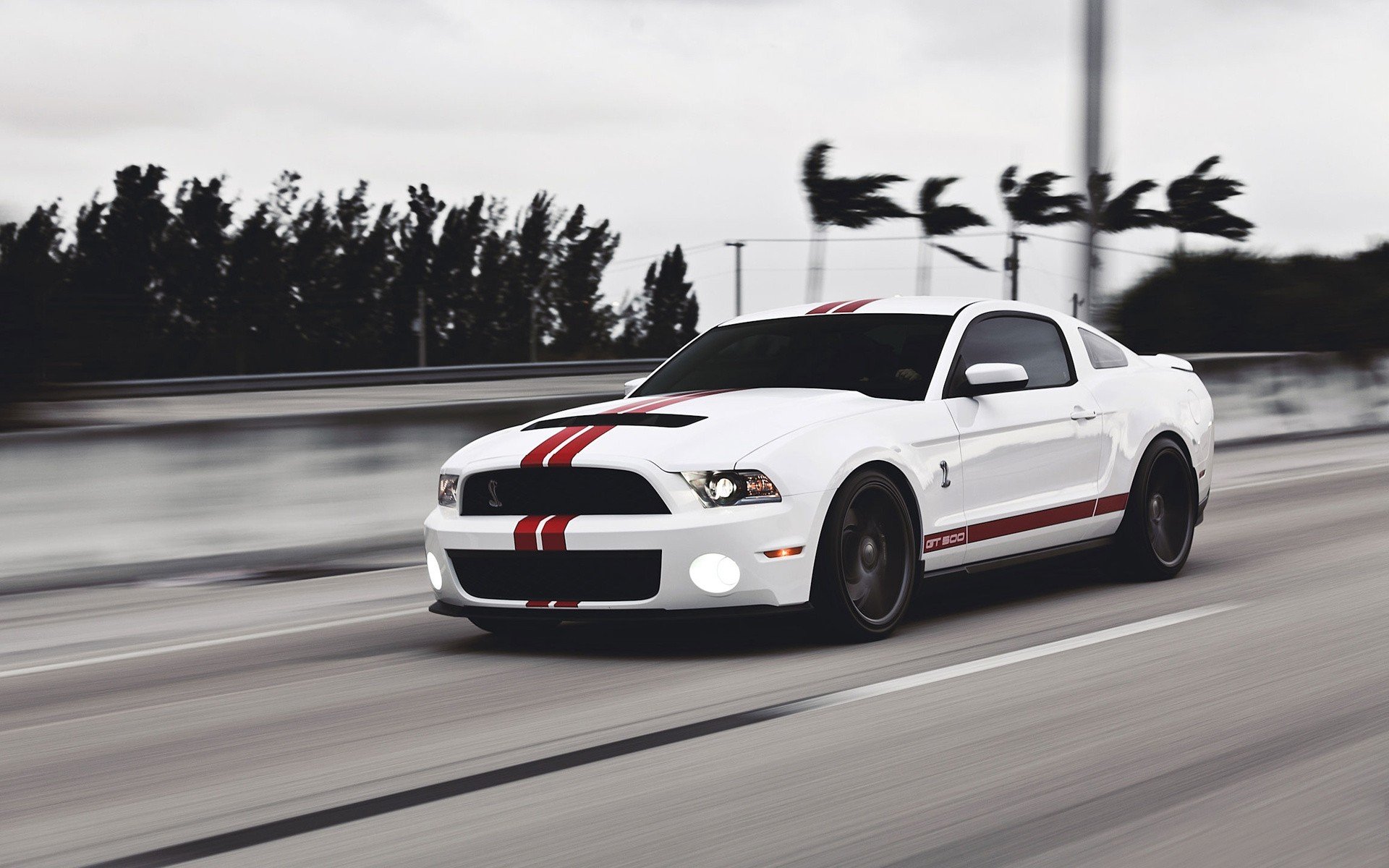 White Mustang Wallpapers