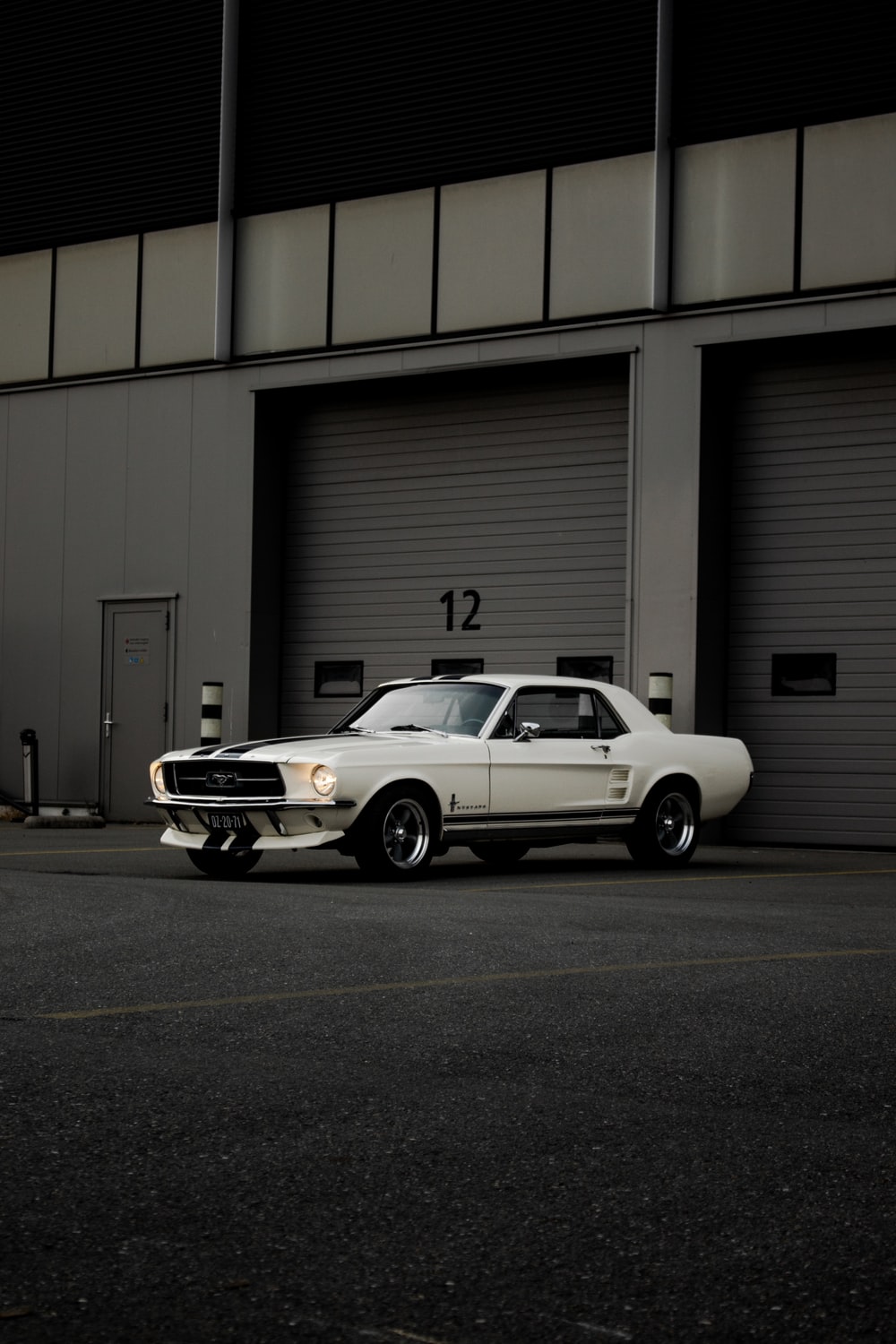 White Mustang Wallpapers