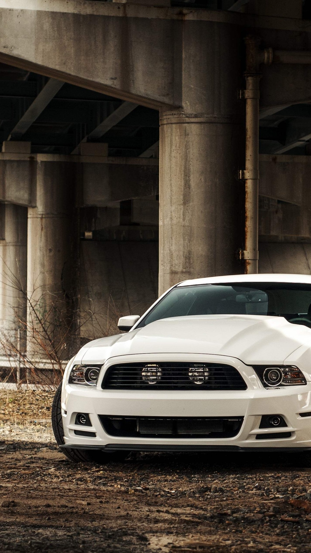 White Mustang Wallpapers