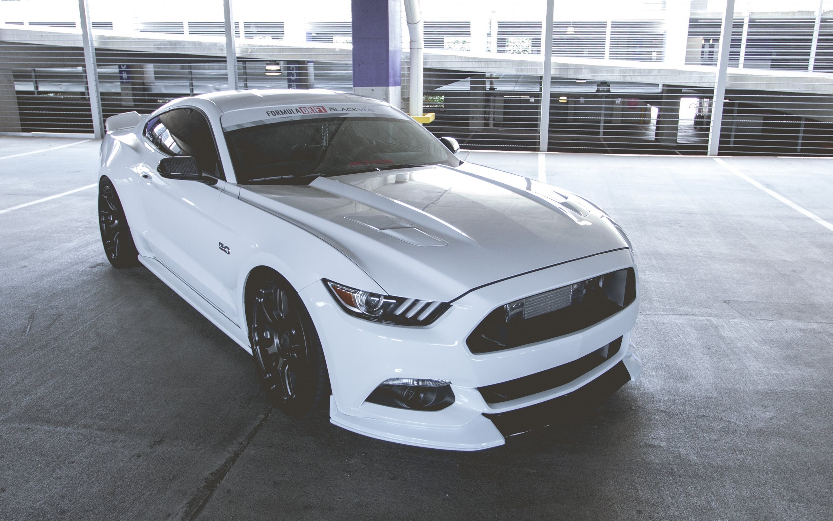 White Mustang Wallpapers