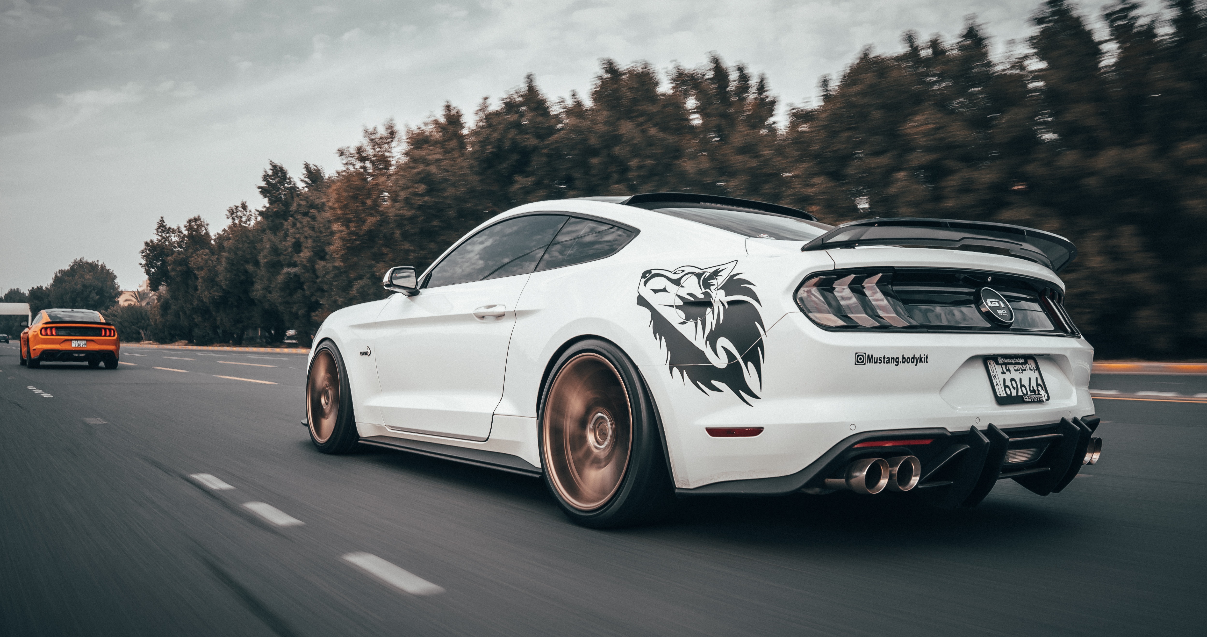 White Mustang Wallpapers