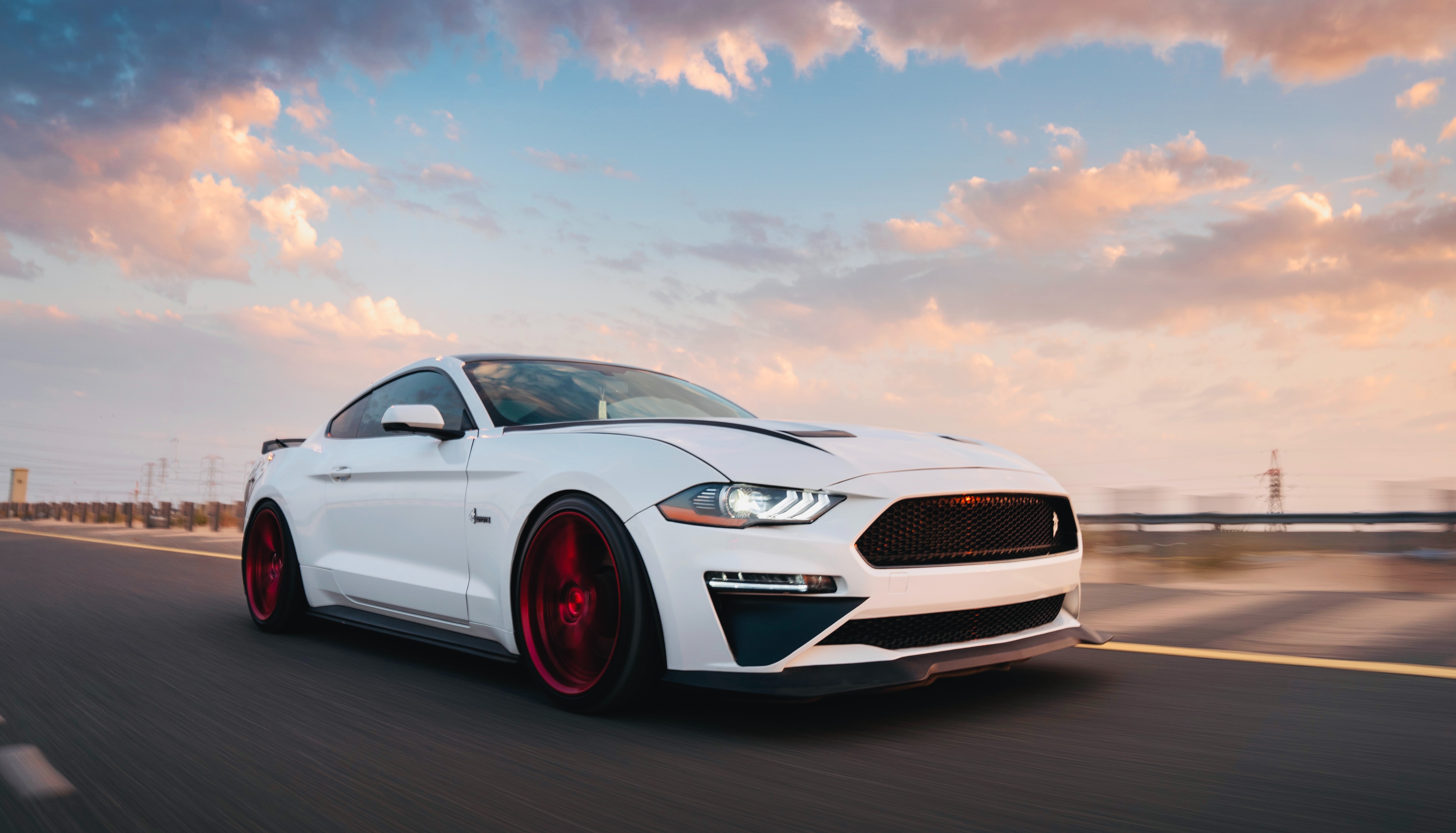 White Mustang Wallpapers