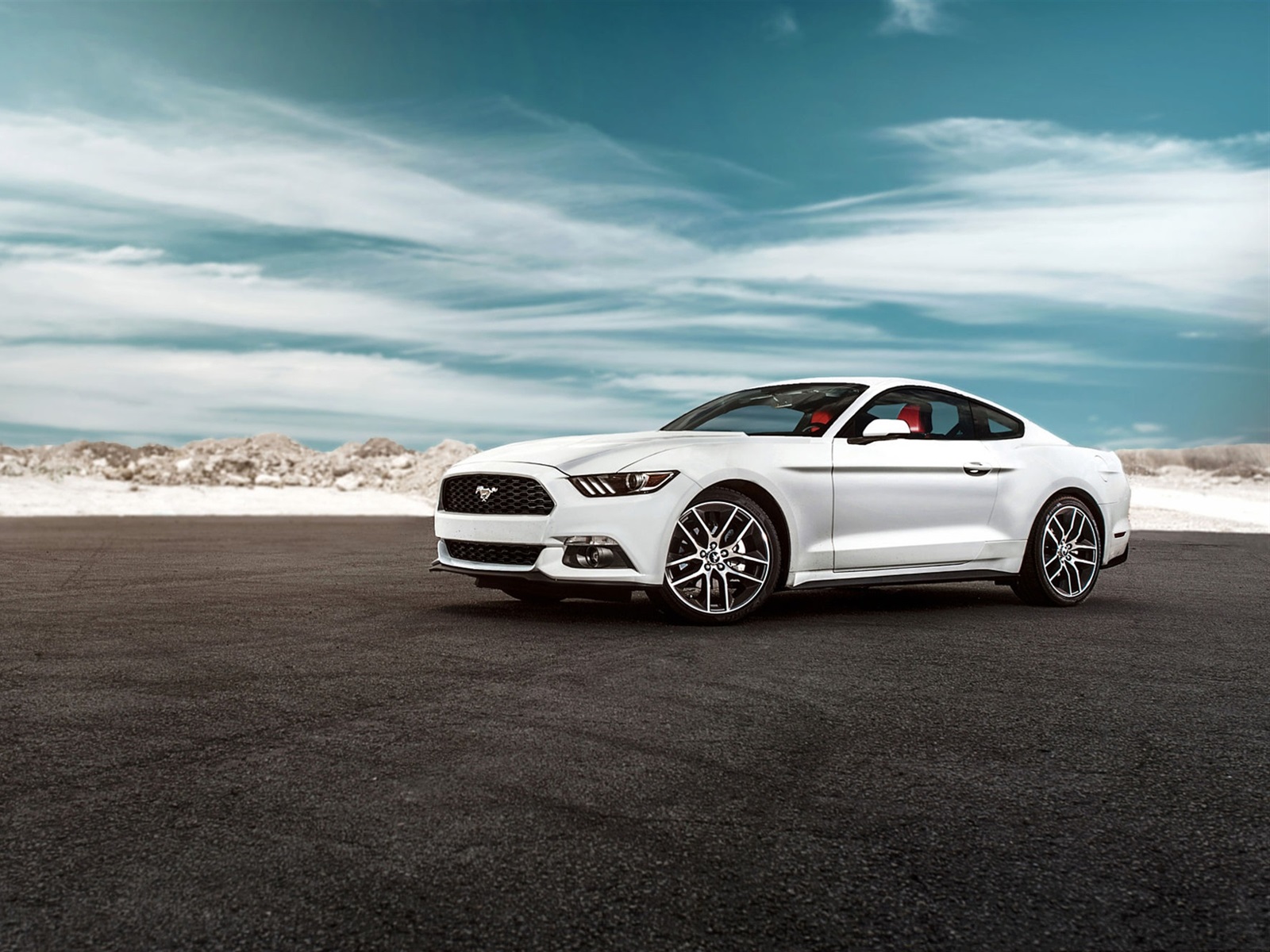 White Mustang Wallpapers