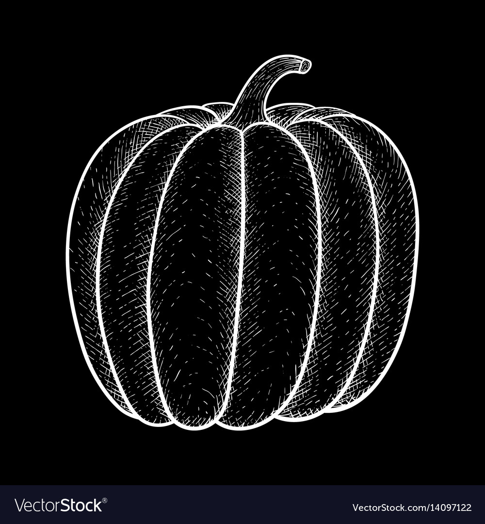 White Pumpkin Background