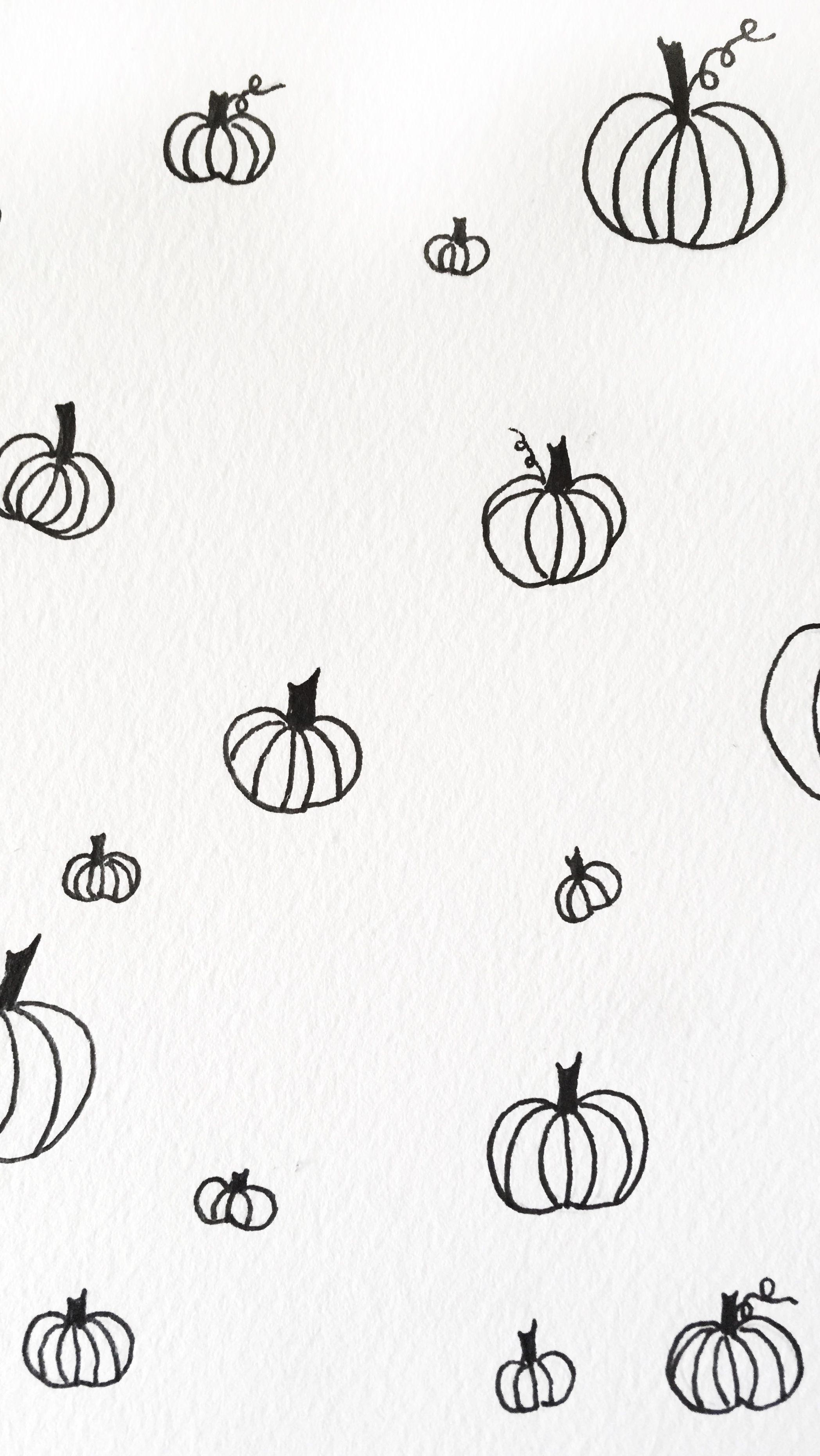 White Pumpkin Background