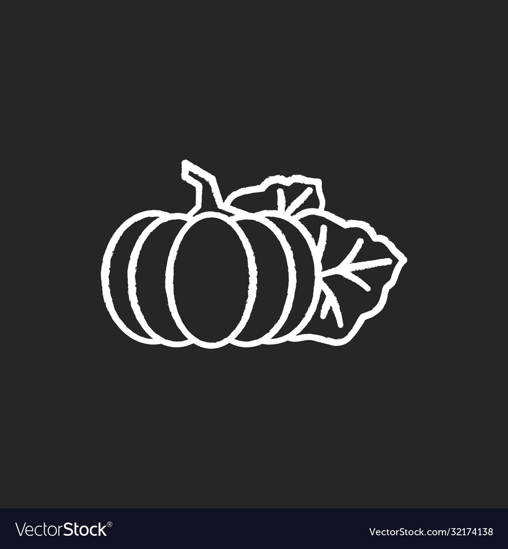 White Pumpkin Background