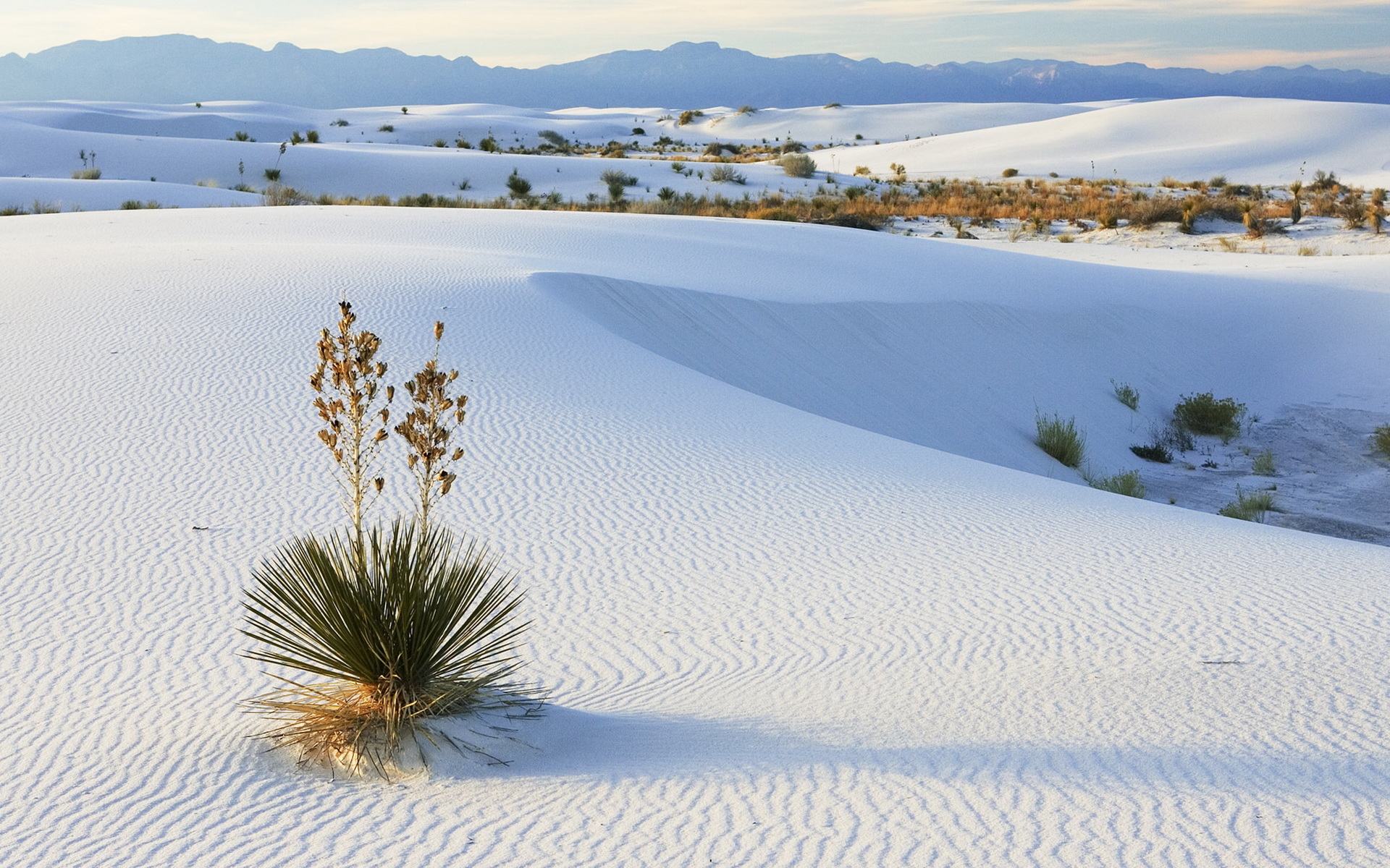 White Sand Wallpapers