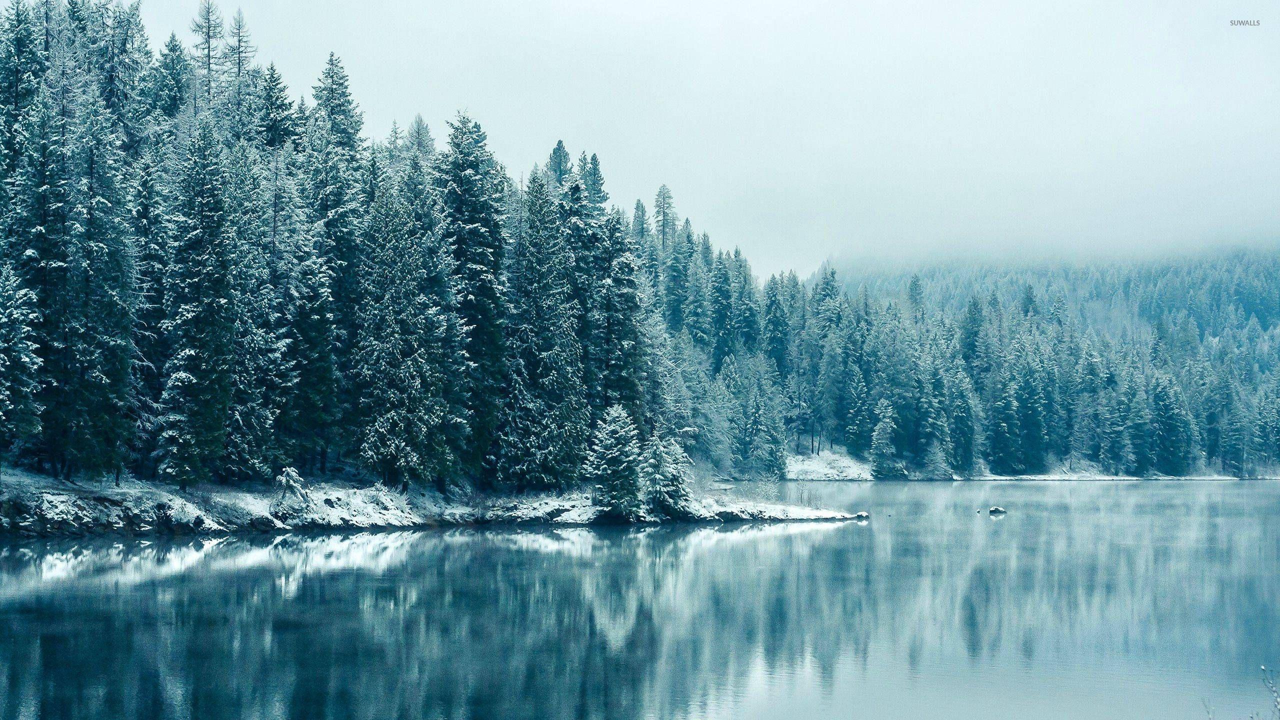 White Snowy Lake Wallpapers