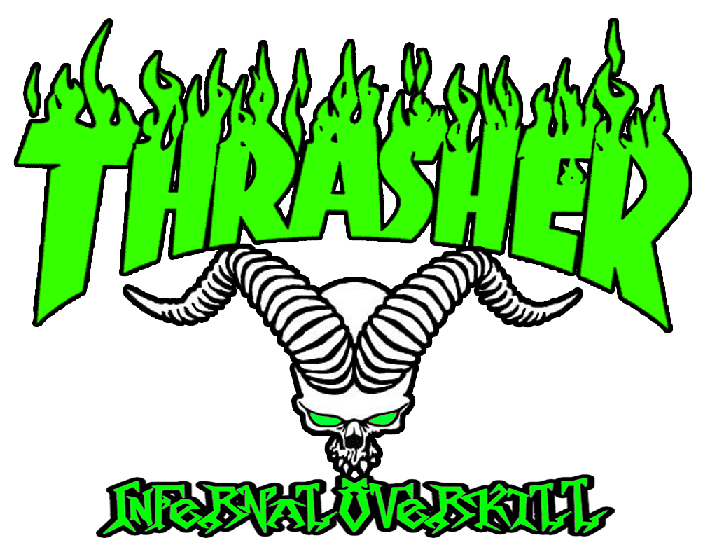 White Thrasher Wallpapers