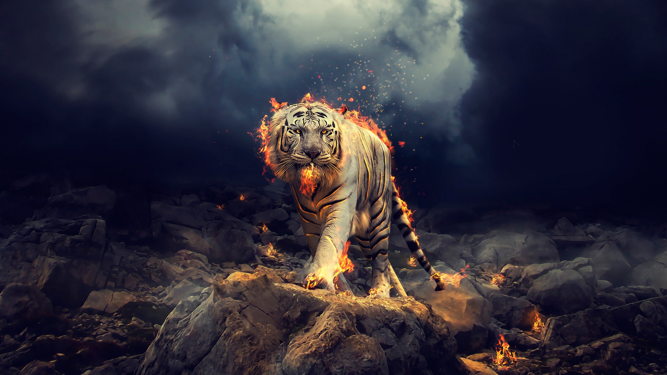 White Tiger Wallpapers