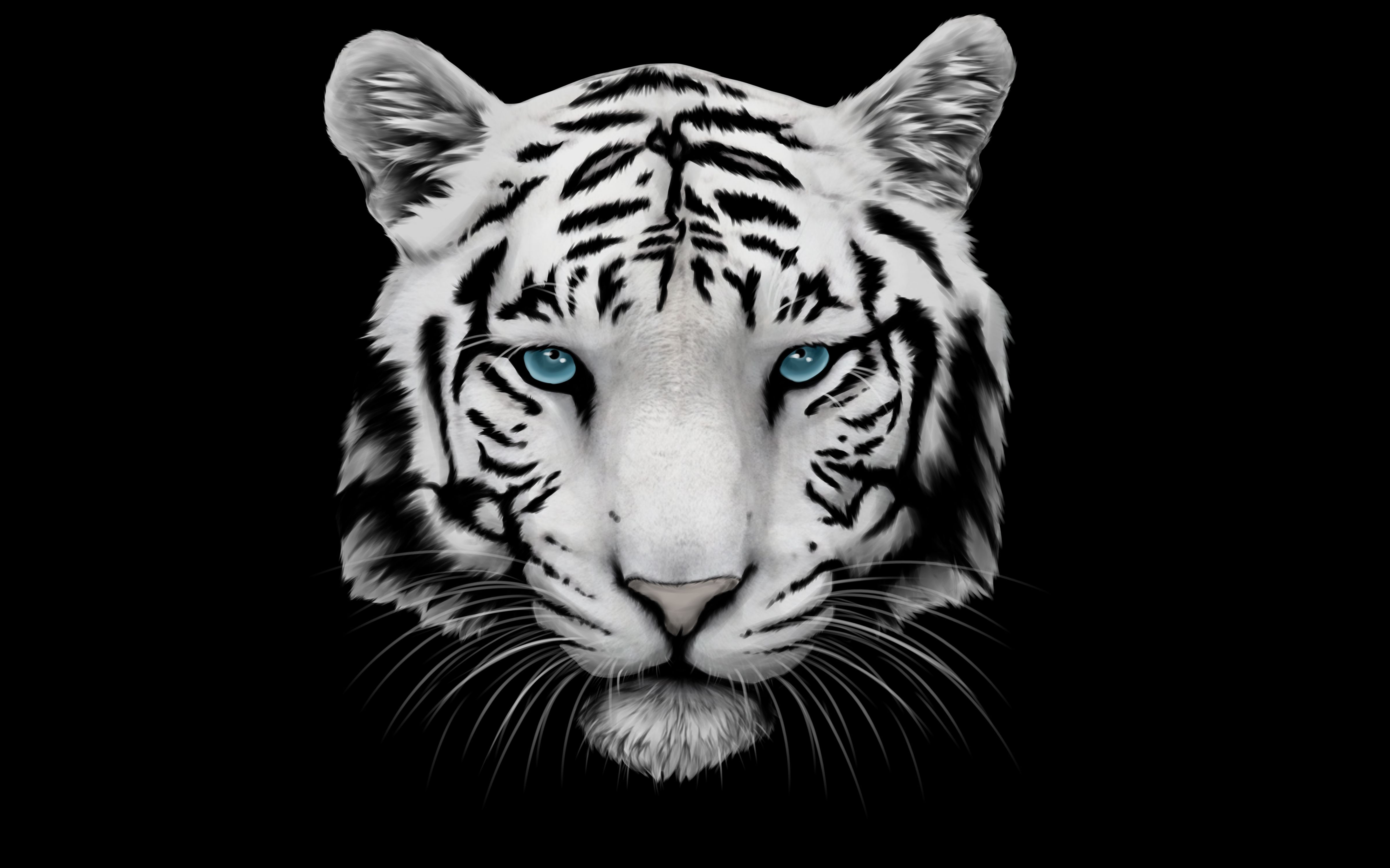 White Tiger Wallpapers