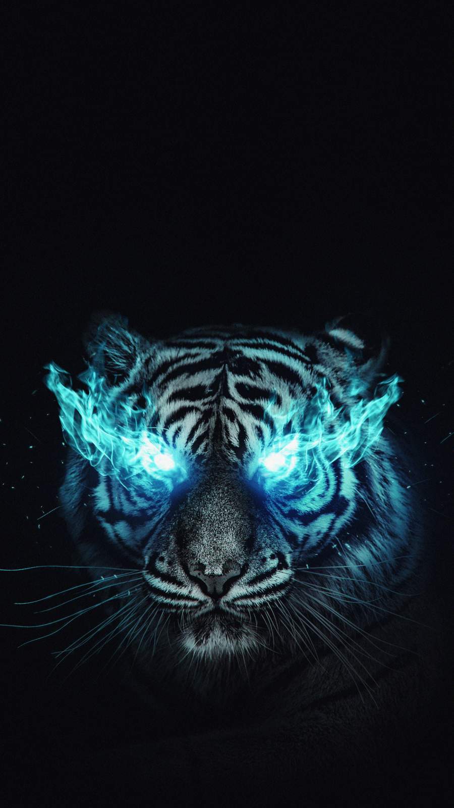 White Tiger Wallpapers