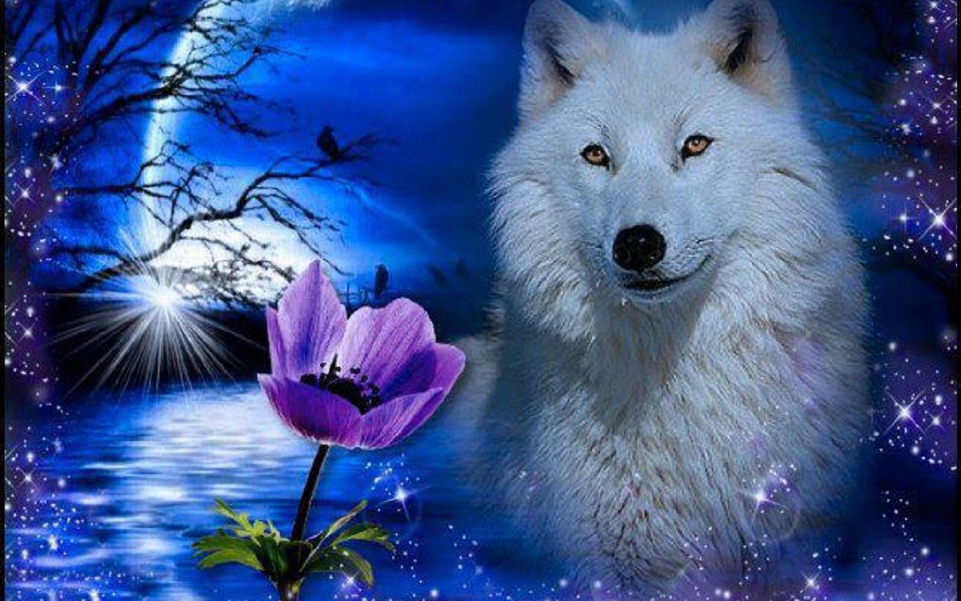 White Wolf Wallpapers