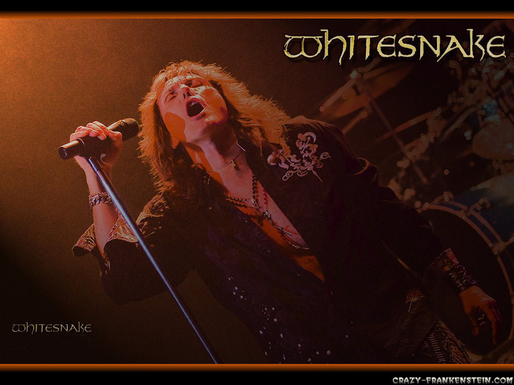 Whitesnake Wallpapers