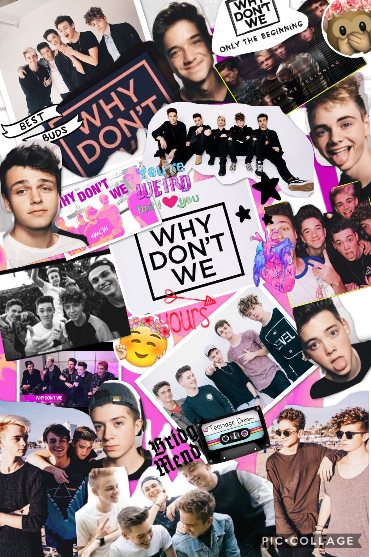 Why Don'T We Logo Wallpapers