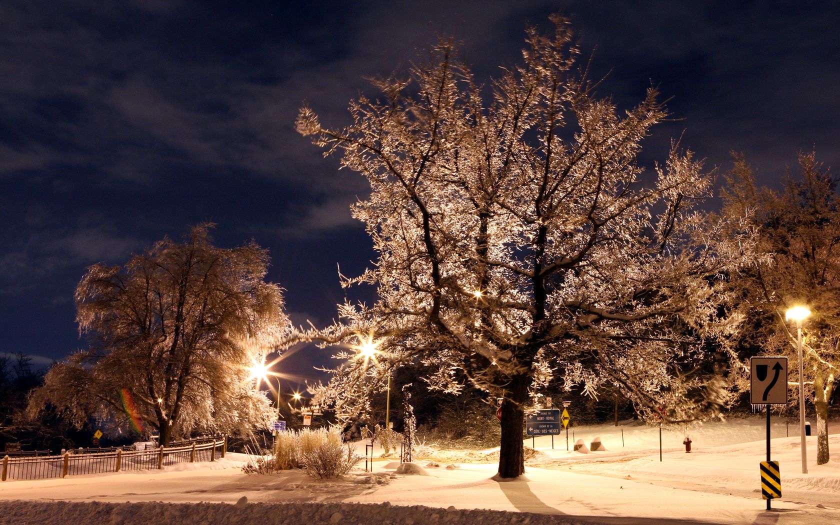 Widescreen Winter Night Wallpapers