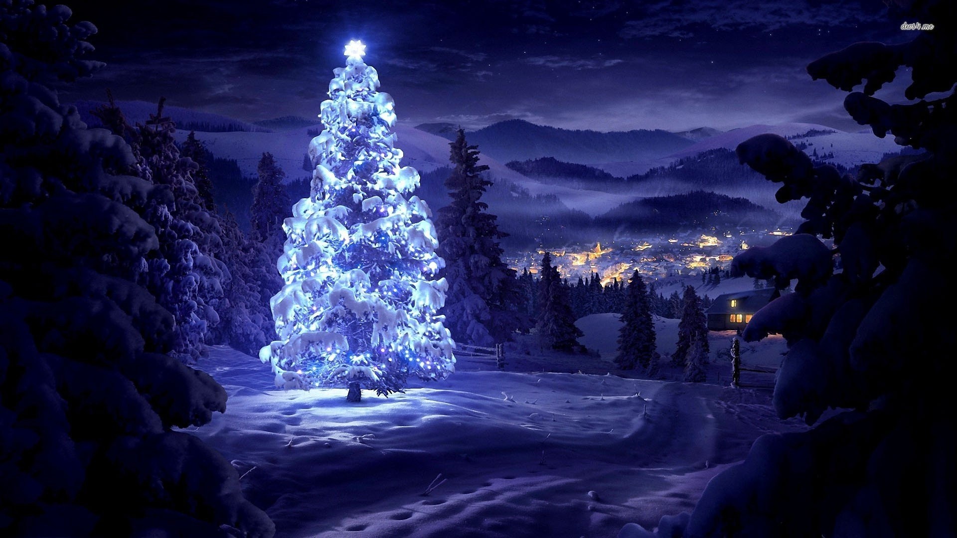 Widescreen Winter Night Wallpapers