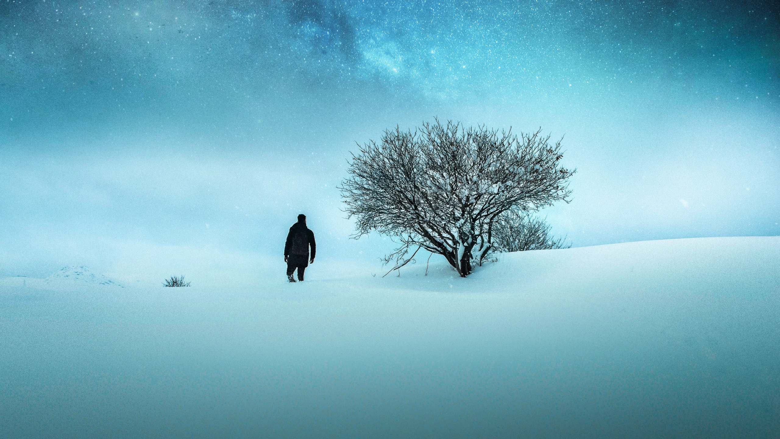 Widescreen Winter Night Wallpapers