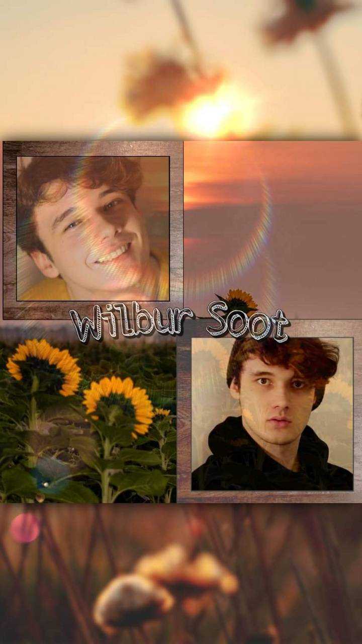 Wilbur Soot Wallpapers