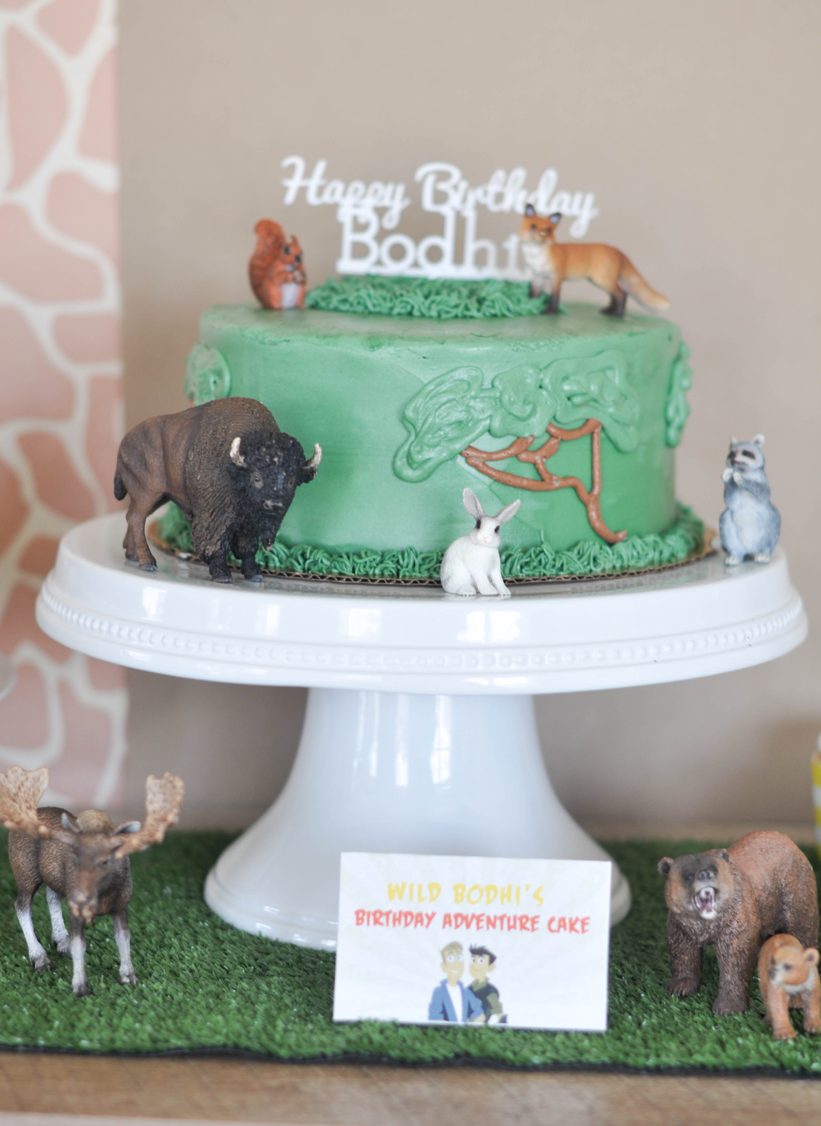 Wild Kratt Cake Ideas Wallpapers