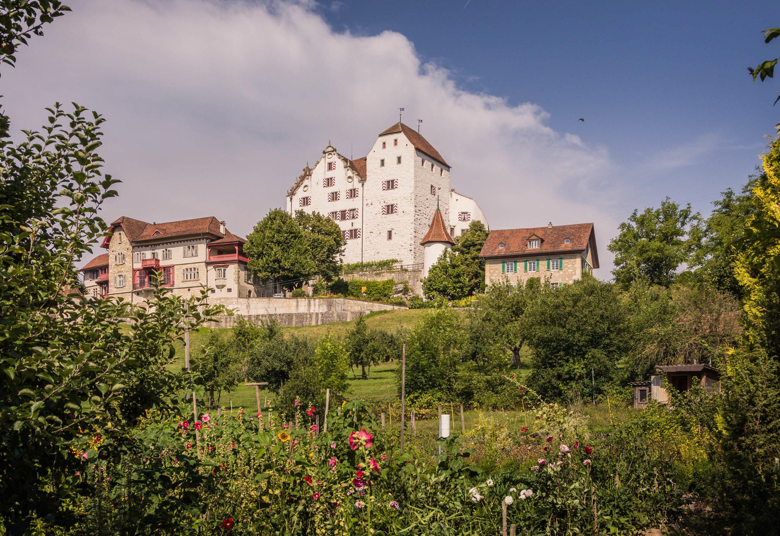 Wildegg Castle Wallpapers