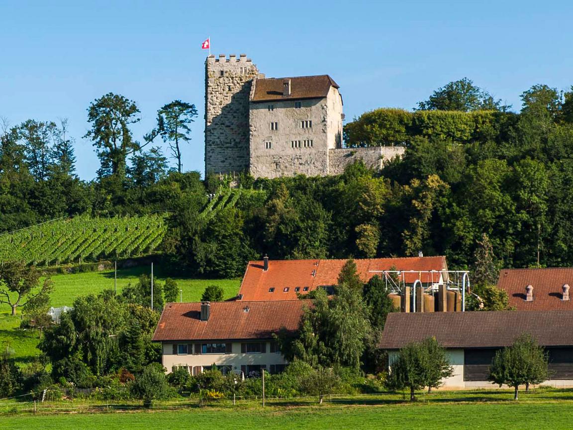 Wildegg Castle Wallpapers