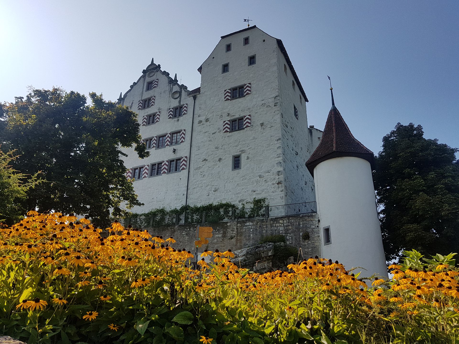 Wildegg Castle Wallpapers