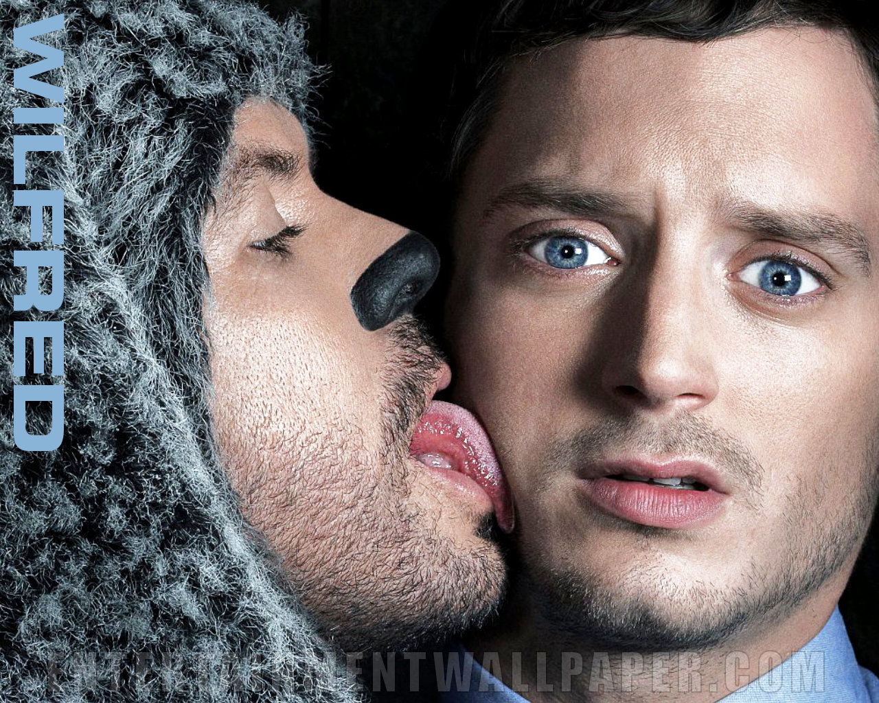 Wilfred Wallpapers