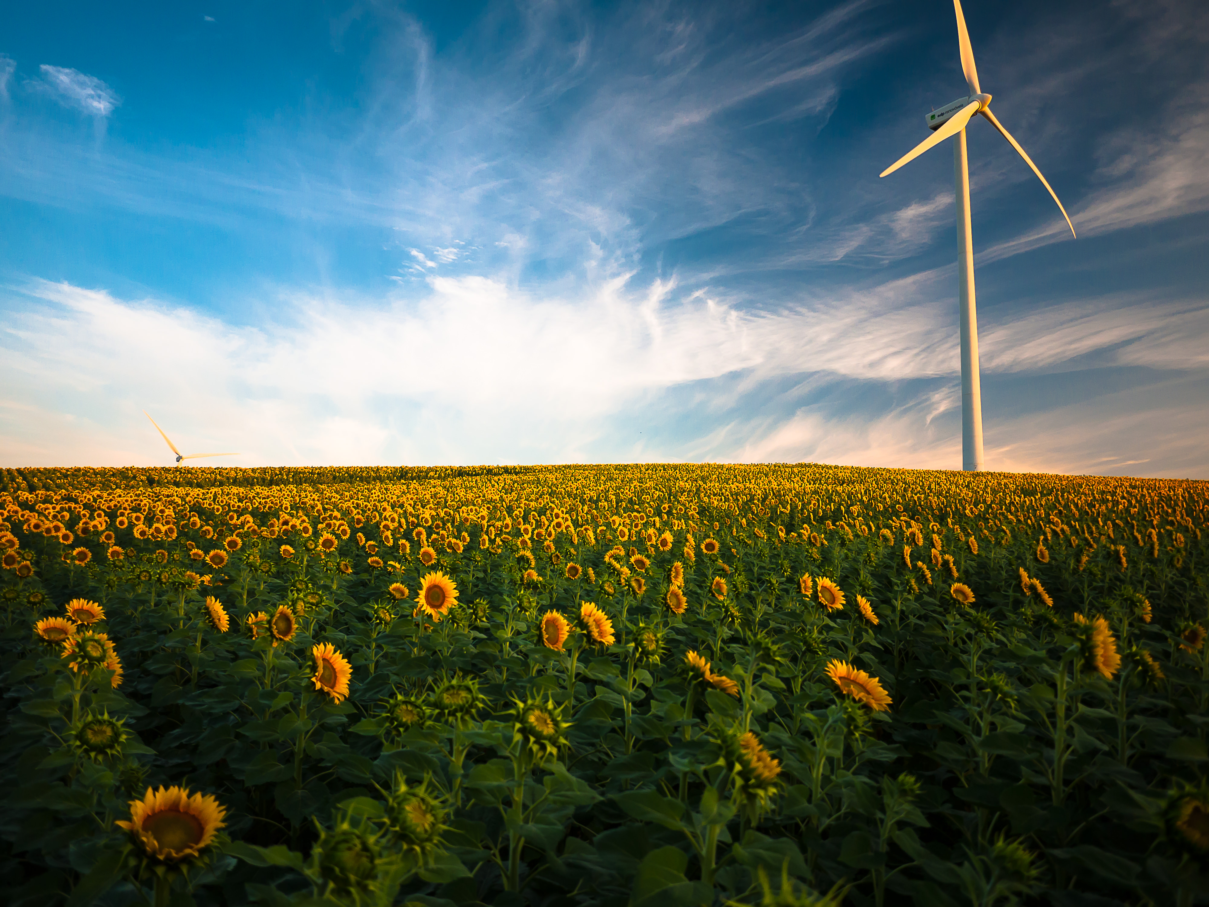 Wind Turbine Hd Field Wallpapers