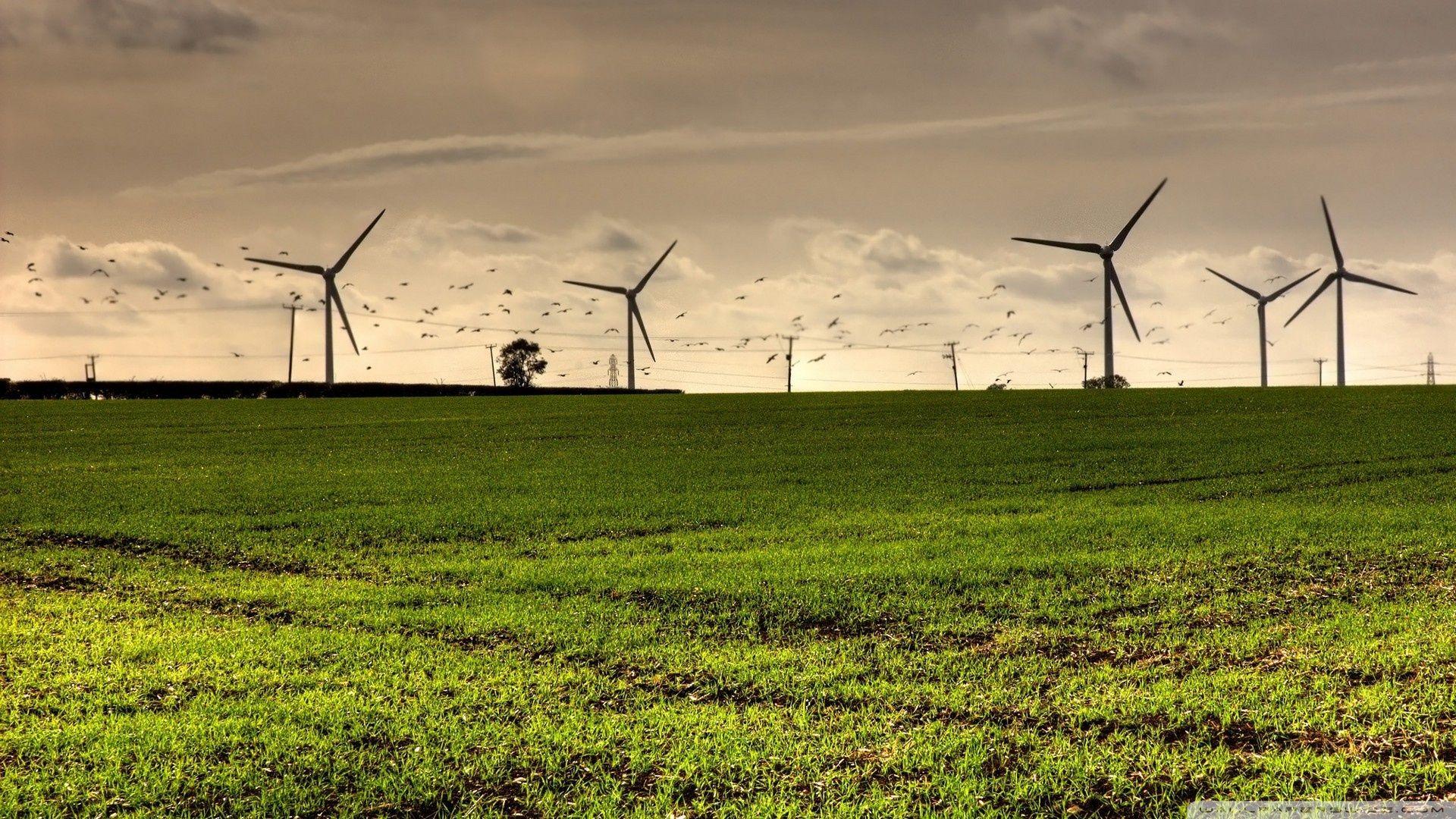 Wind Turbine Hd Field Wallpapers