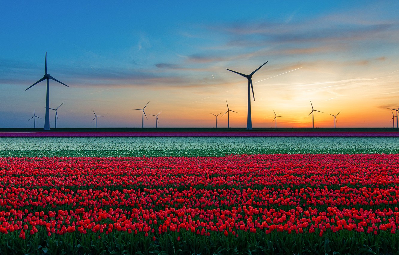 Wind Turbine Wallpapers