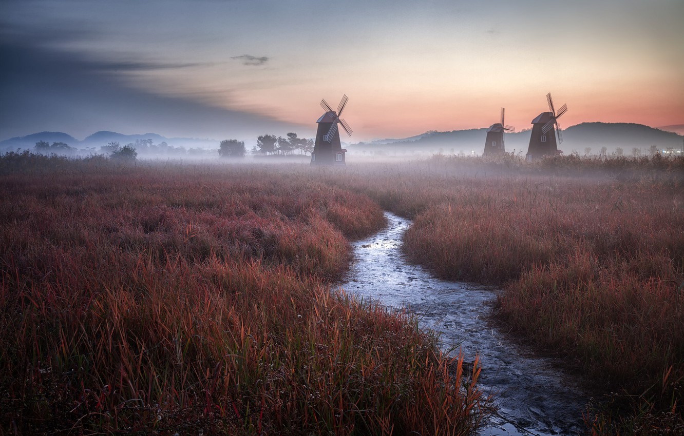 Windmill Fogy Netherlands Wallpapers