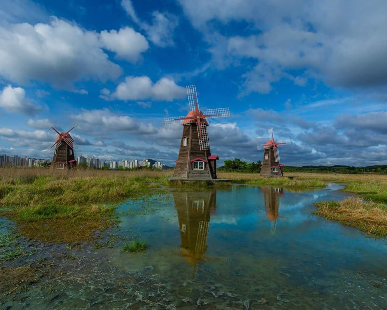 Windmill Fogy Netherlands Wallpapers