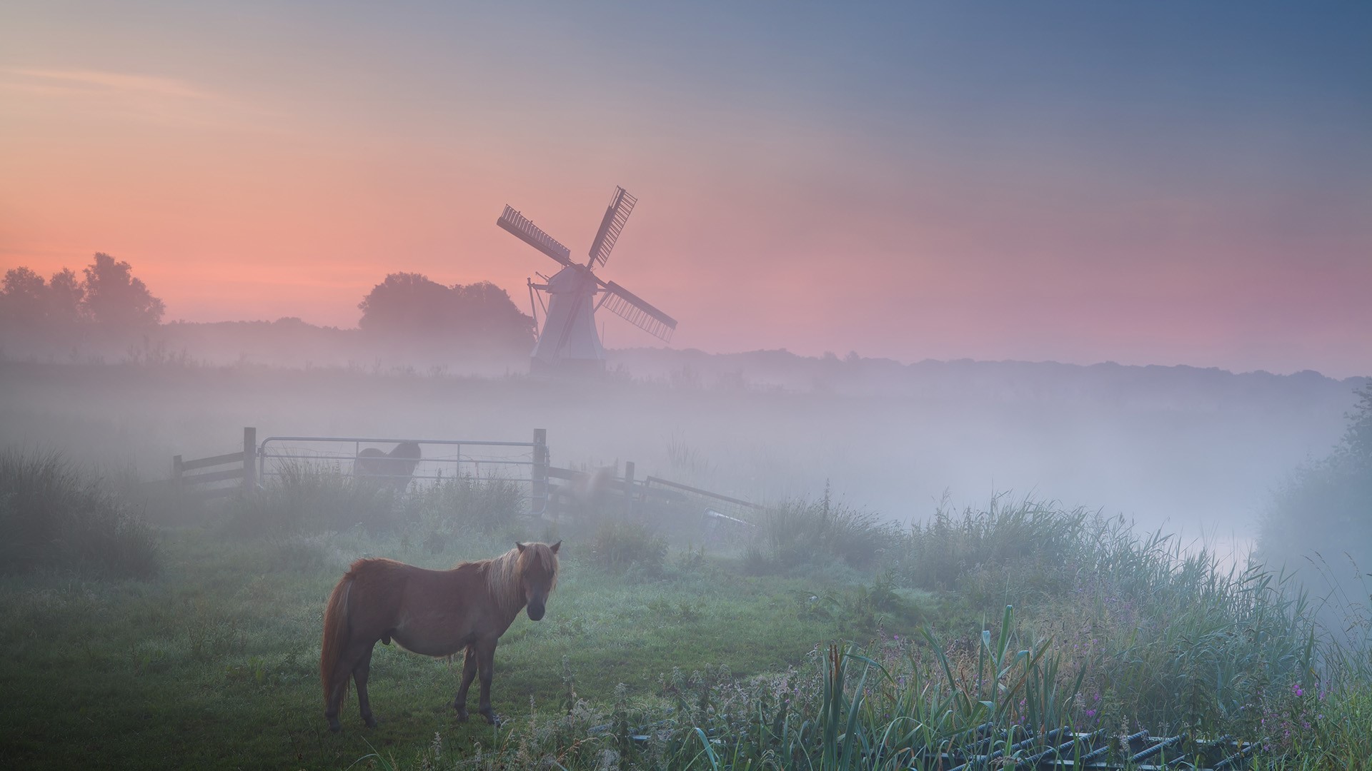 Windmill Fogy Netherlands Wallpapers