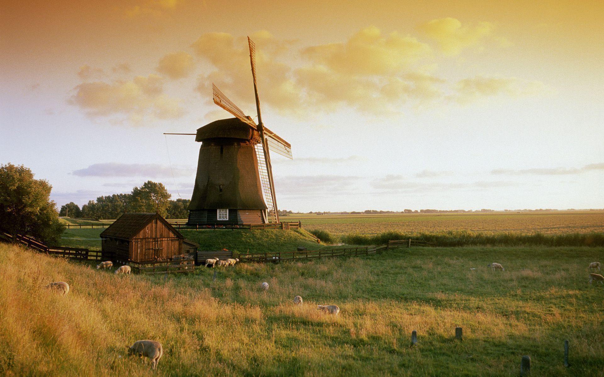 Windmill Fogy Netherlands Wallpapers