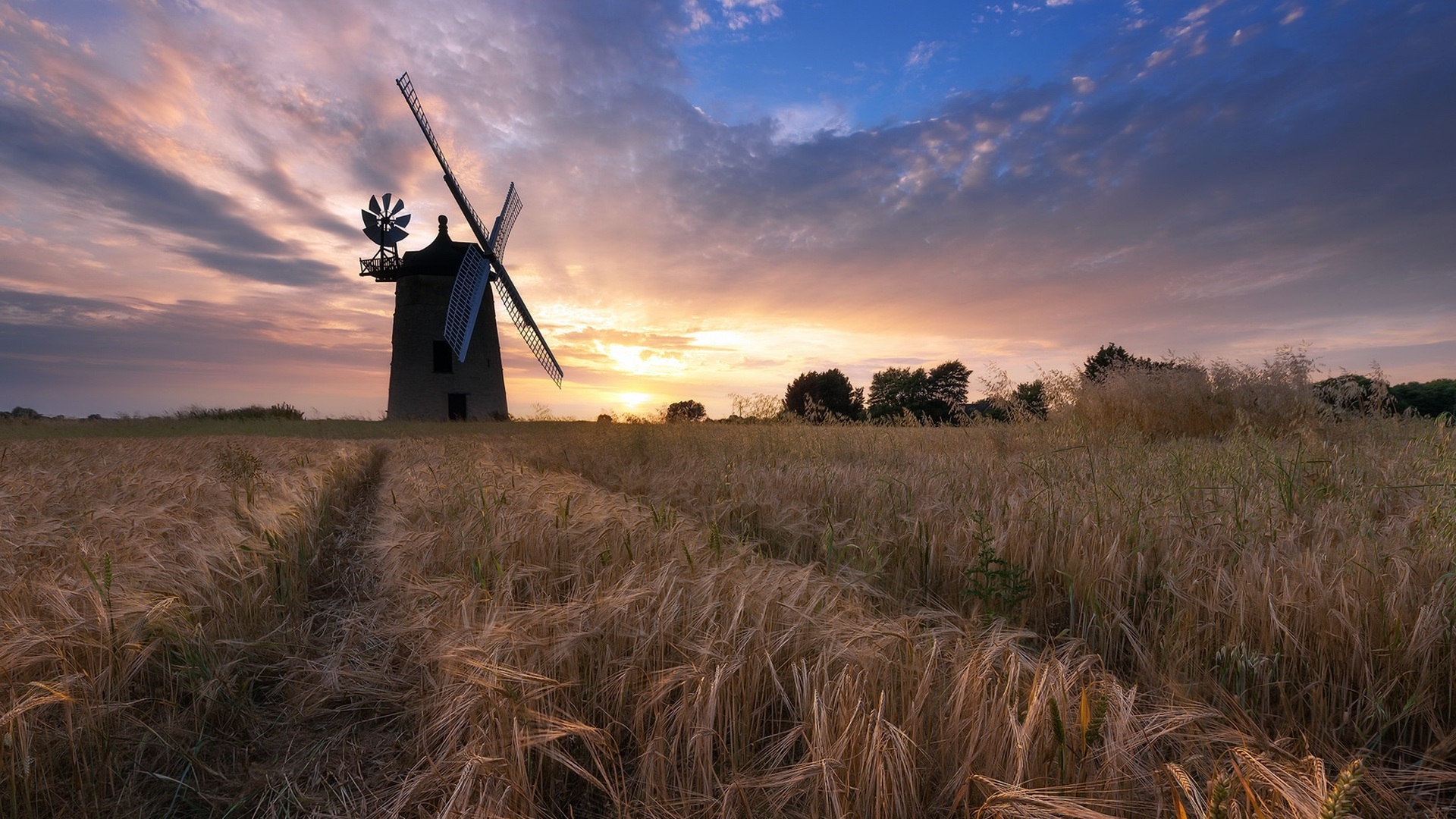 Windmill On Wheat Field At Sunset Wallpapers