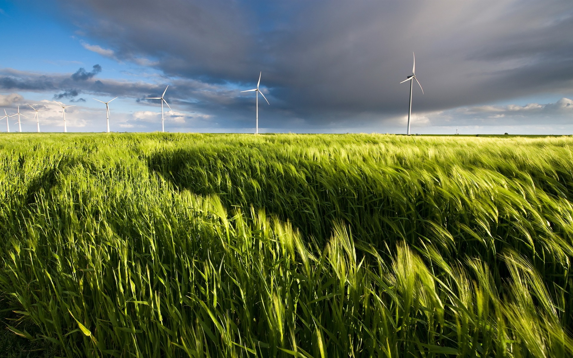 Windmill On Wheat Field At Sunset Wallpapers