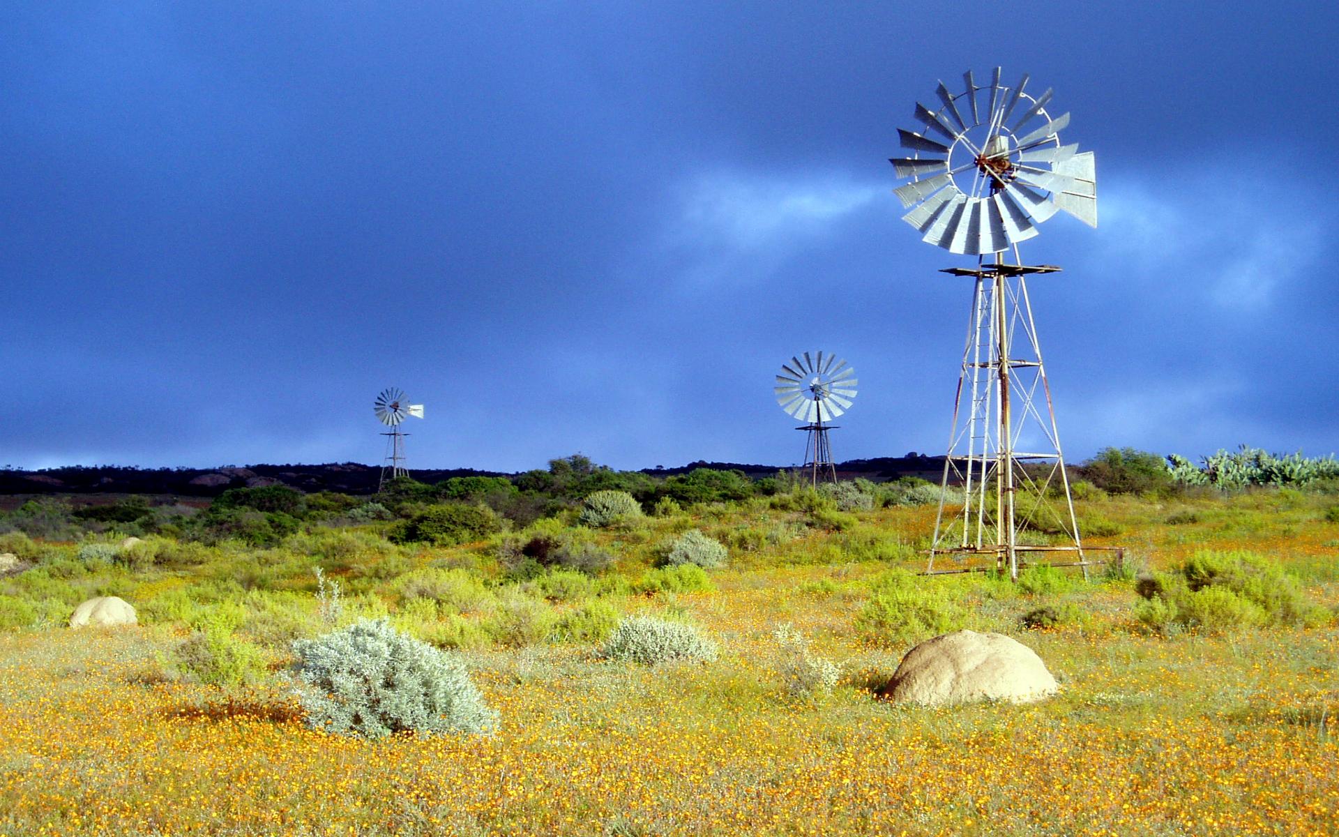 Windmill Screensaver Wallpapers